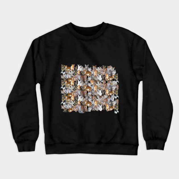 Cats meeting point Crewneck Sweatshirt by MarionsArt